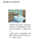 오사카 분식 네이버블로그