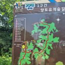 최희섭공원 | 조선일보 무료 동행 걷기대회 후기