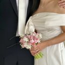 2618 | [웨딩.02] 가장 완벽한 순간, 부산 웨딩 스냅 ‘고다큐’ 후기