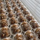 크림이네 간식공방 | " 창원 답례품 맛집 봄애담｜커스텀 가능한 디저트 도시락 답례품 "