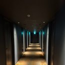 때빼때빨래터 | [딸과 나의 도쿄 1] OMO3 아카사카 스시노미도리