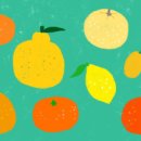 귤익는 마을 이미지