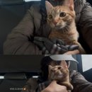 자단연원 이미지