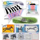 고려대학교 KU-KIST융합대학원 이미지