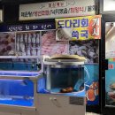 여천좌수영약국 | 여수신기동횟집 : 춘하추동, 늦은 시간에 회 먹고 싶을때 가기 좋은 곳