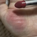 463 | 디올 어딕트 립스틱 463 후기, 웜톤 쿨톤 다 예쁜 데일리 립 찾았다!💄