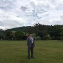 푸른초장 이미지