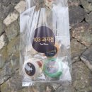 정명여고정문 이미지