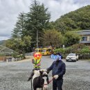 동원숲속어린이집 이미지