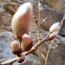 햇살가득농장펜션 이미지