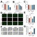 Re: 척수 마비환자 'Biomimetic piezoelectric hydrogel system' 2025 이미지