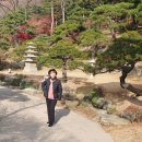 성균관부동산공인중개사사무소 이미지