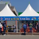 칠서-6 이미지