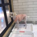 시아동물병원 이미지