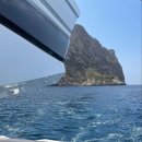 리치오션 이미지