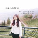 전남으로 떠난 가족여행 完[전라남도 벌교, 보성, 장흥 식도락 여행코스 및 총 경비]