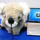 SEK 2007 뒤늦은 후기(3)... IT테크노마트 &amp; 기타 부스들...