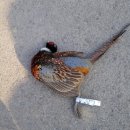 한수경로당 이미지