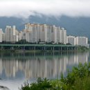 나무고아원 이미지