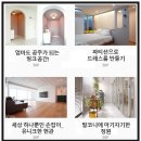 피노키오팩토리 이미지