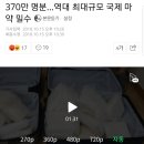 부산항, 역대 최대 370만 명분 마약 밀수 이미지