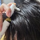 팬시워터코리아 | 커밋스토어 사배박스 구매 성공!!/제품 사용후기