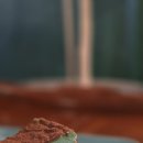 민트분식카페