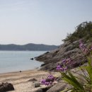 바닷가언덕 이미지