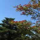 산일민박 이미지