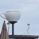 영덕 강구 해안도로 카페봄 오션뷰 Cafe BOM