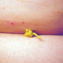 재미있는 상상 이미지