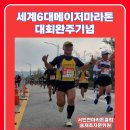 세계6대 메이저 마라톤대회 완주 이미지