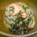 도원예찬 이미지