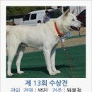 진도개영농조합 이미지