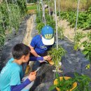 훈훈 농장 이미지