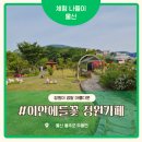 이안농장 | 울산 울주군 정원 카페 중 여긴 진짜 반칙이네요. 장모님 단골 베이커리 카페 이안에들꽃