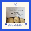 2025년 수미감자 바이더홈스 구매후기 햇감자 요리 보관법
