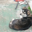 어등포해녀촌 이미지