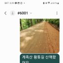 콘서트를 앞두고 ~ 세레나데 이미지