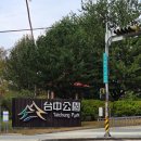 타이중공원 후기｜타이중 시내 가볼만한곳 청설모 천국 + 연못 산책 코스