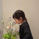 다시오다스테이 | 제주 애월 아기랑 가기 좋은 가성비 감성 독채숙소, 내돈내산 스테이월화 (저상침대, 아기용품, 자쿠지)