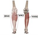 루케테 이미지