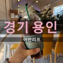 용인 아이랑 가기좋은 대형카페 어반리프 내돈내산 후기