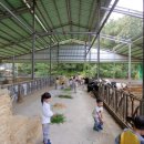 현도목장 이미지