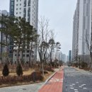 Metal-당산나무 이미지