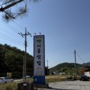 원주 오크밸리 근처 맛집 시골쌈밥 후기 추천