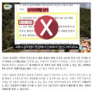 7월부터 이곳에 1분만 정차하면 8만원 내야 합니다! 이미지