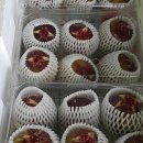 육일농장 이미지