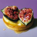 로베르토 이미지