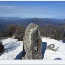 금영주유소 이미지